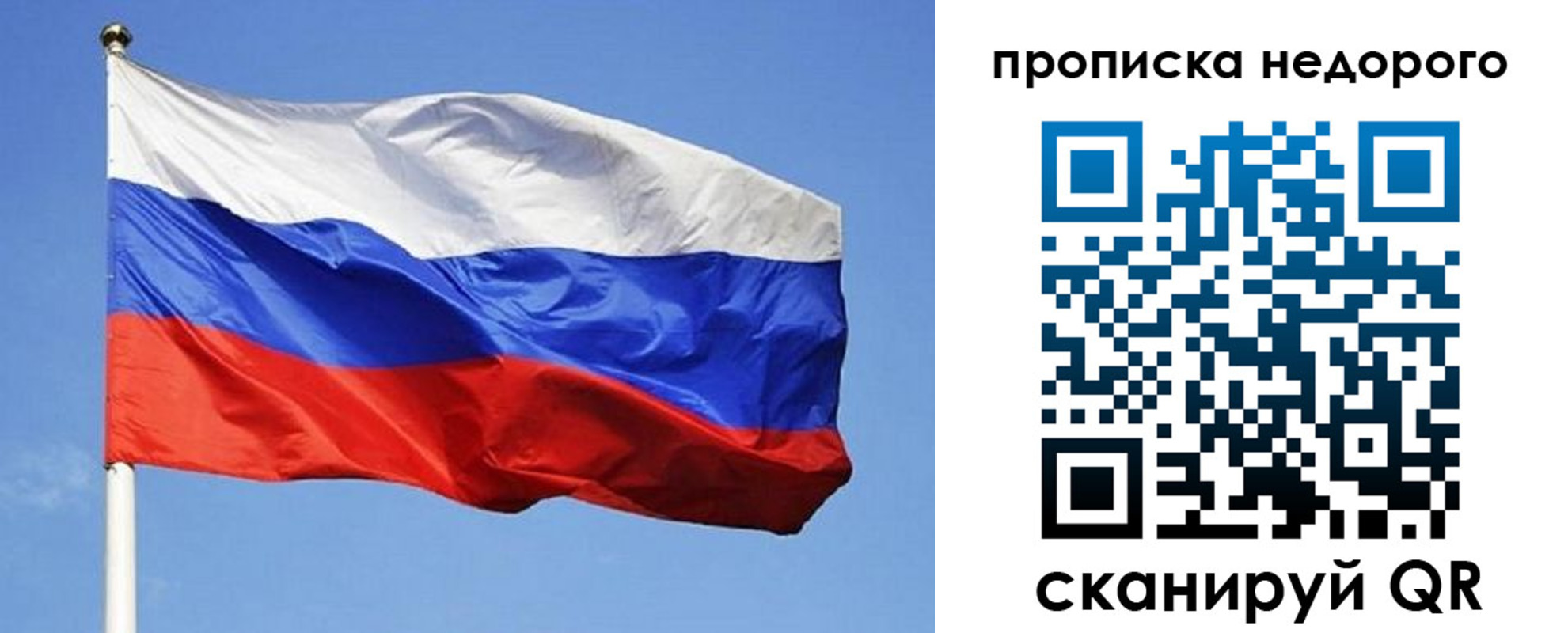 прописка для школы в Зарайске